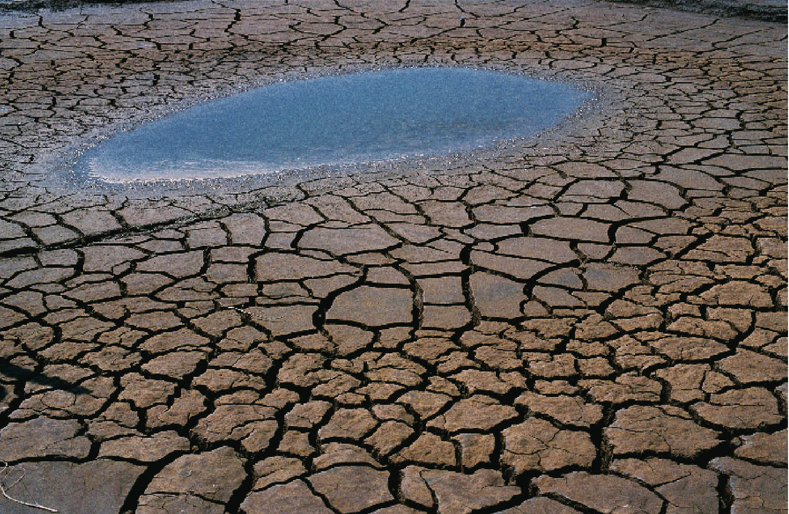 Dwindling Ground Water